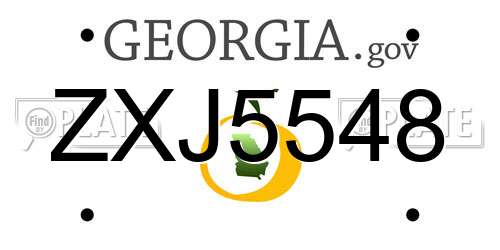ZXJ5548 Georgia License Plate
