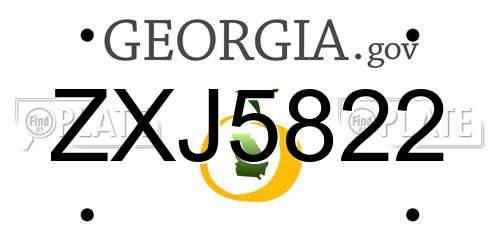ZXJ5822 Georgia License Plate