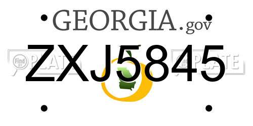 ZXJ5845 Georgia License Plate