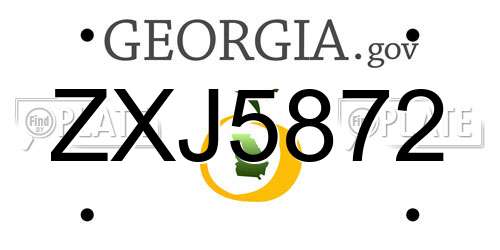 ZXJ5872 Georgia License Plate