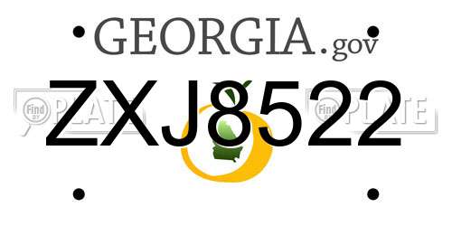 ZXJ8522 Georgia License Plate