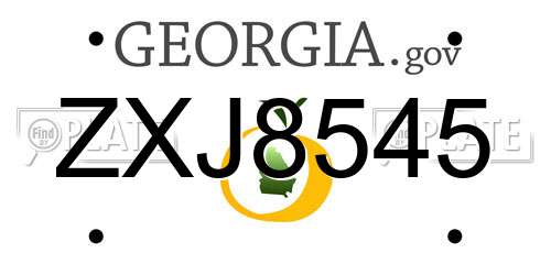 ZXJ8545 Georgia License Plate