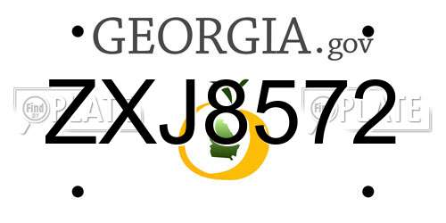 ZXJ8572 Georgia License Plate