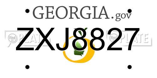 ZXJ8827 Georgia License Plate