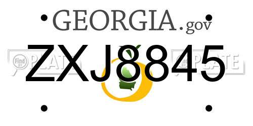 ZXJ8845 Georgia License Plate
