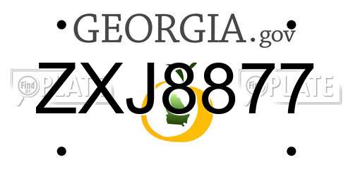 ZXJ8877 Georgia License Plate