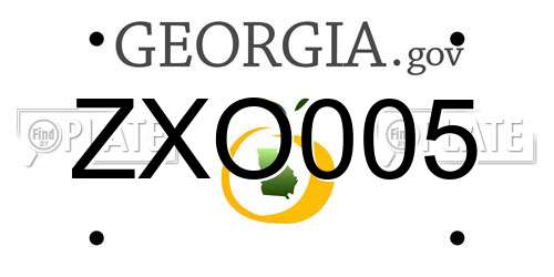 ZXO005 Georgia License Plate