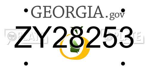 ZY28253 Georgia License Plate