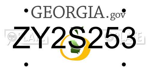 ZY2S253 Georgia License Plate