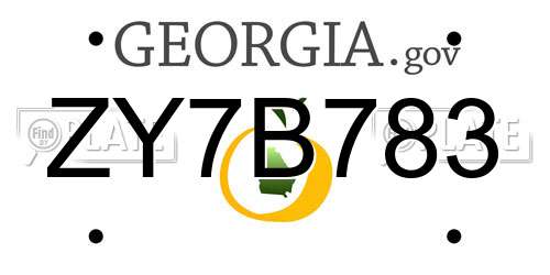 ZY7B783 Georgia License Plate