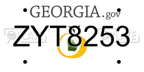 ZYT8253 Georgia License Plate