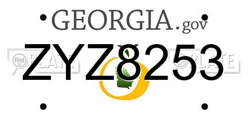 ZYZ8253 Georgia License Plate
