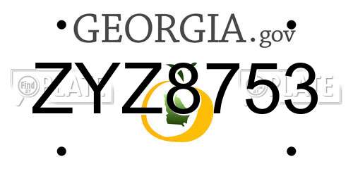 ZYZ8753 Georgia License Plate