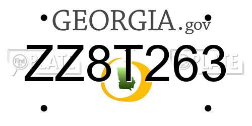 ZZ8T263 Georgia License Plate