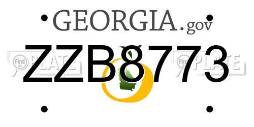 ZZB8773 Georgia License Plate