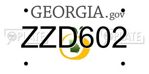 ZZD602 Georgia License Plate