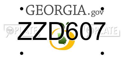 ZZD607 Georgia License Plate
