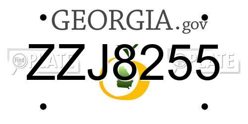 ZZJ8255 Georgia License Plate