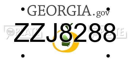 ZZJ8288 Georgia License Plate