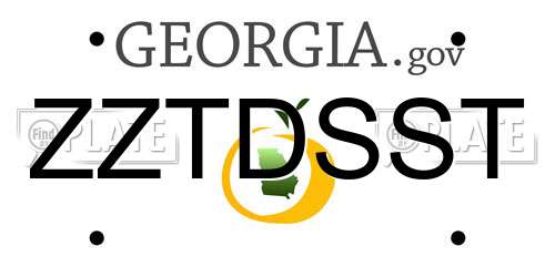 ZZTDSST Georgia License Plate