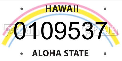 0109537 Hawaii License Plate