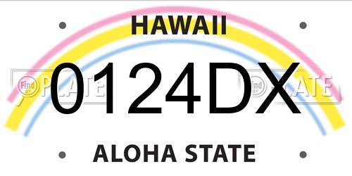 0124DX Hawaii License Plate