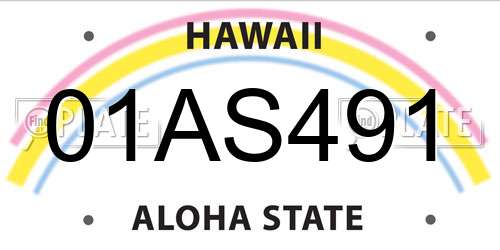 01AS491 Hawaii License Plate