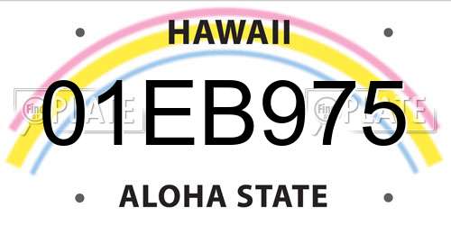 01EB975 Hawaii License Plate