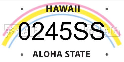0245SS Hawaii License Plate