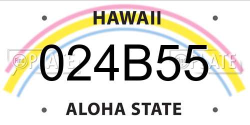 024B55 Hawaii License Plate
