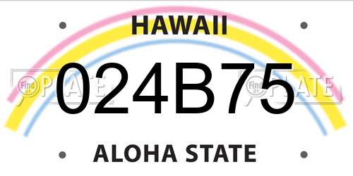 024B75 Hawaii License Plate