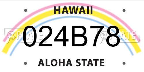 024B78 Hawaii License Plate