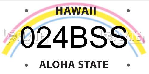 024BSS Hawaii License Plate