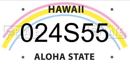 024S55 Hawaii License Plate