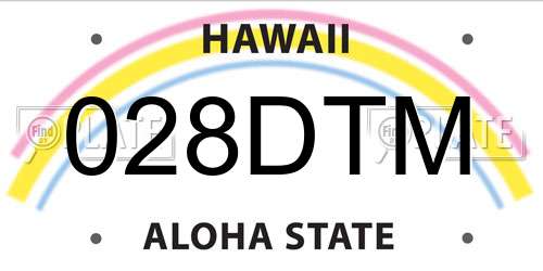 028DTM Hawaii License Plate