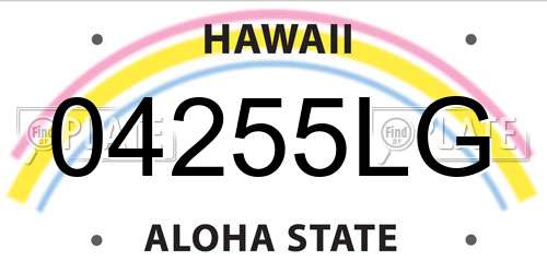 04255LG Hawaii License Plate