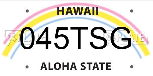 045TSG Hawaii License Plate