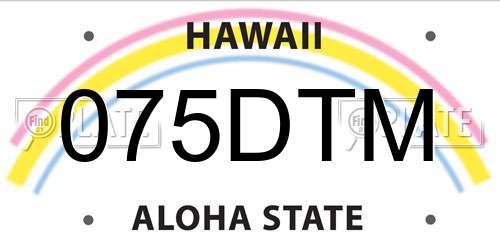 075DTM Hawaii License Plate