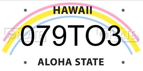 079TO3 Hawaii License Plate