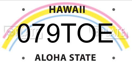 079TOE Hawaii License Plate