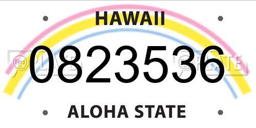 0823536 Hawaii License Plate