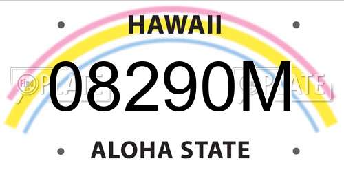 08290M Hawaii License Plate