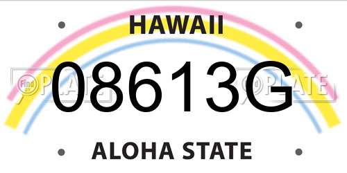 08613G Hawaii License Plate