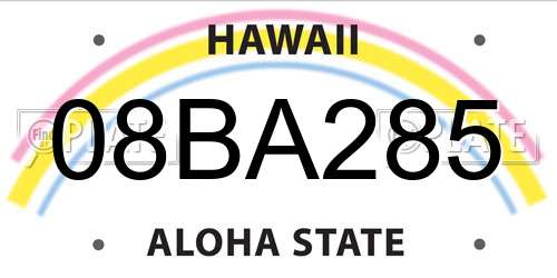 08BA285 Hawaii License Plate