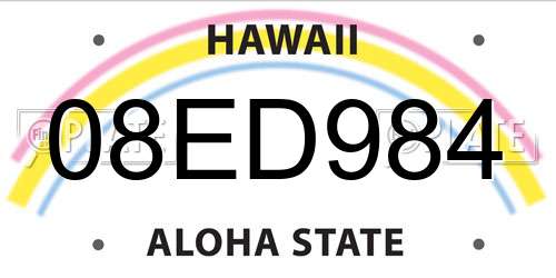 08ED984 Hawaii License Plate