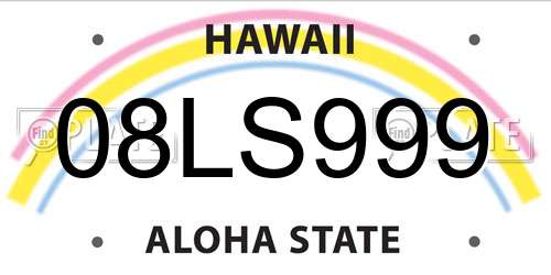08LS999 Hawaii License Plate