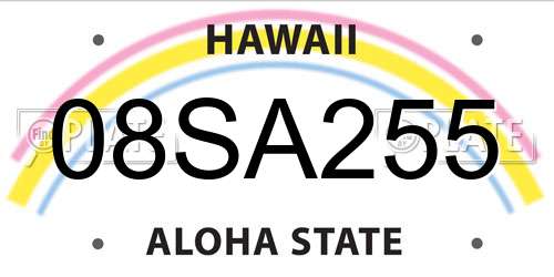 08SA255 Hawaii License Plate