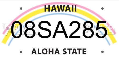 08SA285 Hawaii License Plate