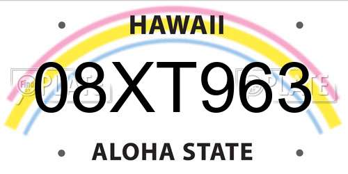 08XT963 Hawaii License Plate