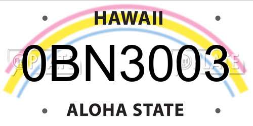 0BN3003 Hawaii License Plate